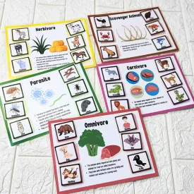 Animal Classification Mats