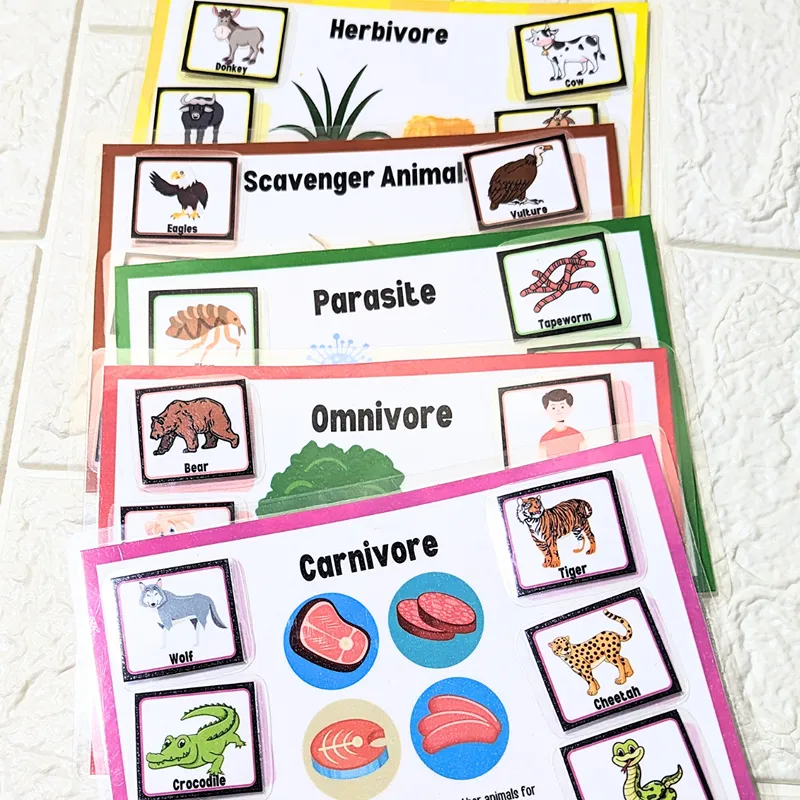 Animal Classification Mats