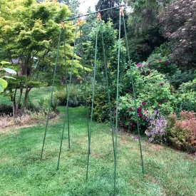 Bean Buddy Heavy Duty Runner Bean Grow Frame