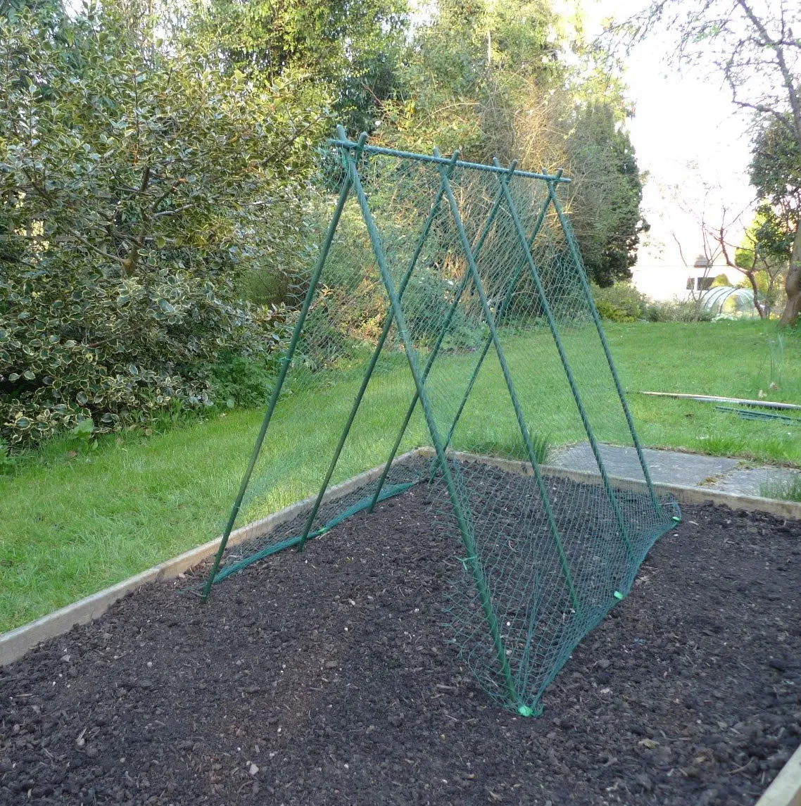 Easy Grow Pea Frame & Climbing Plant Support Trellis