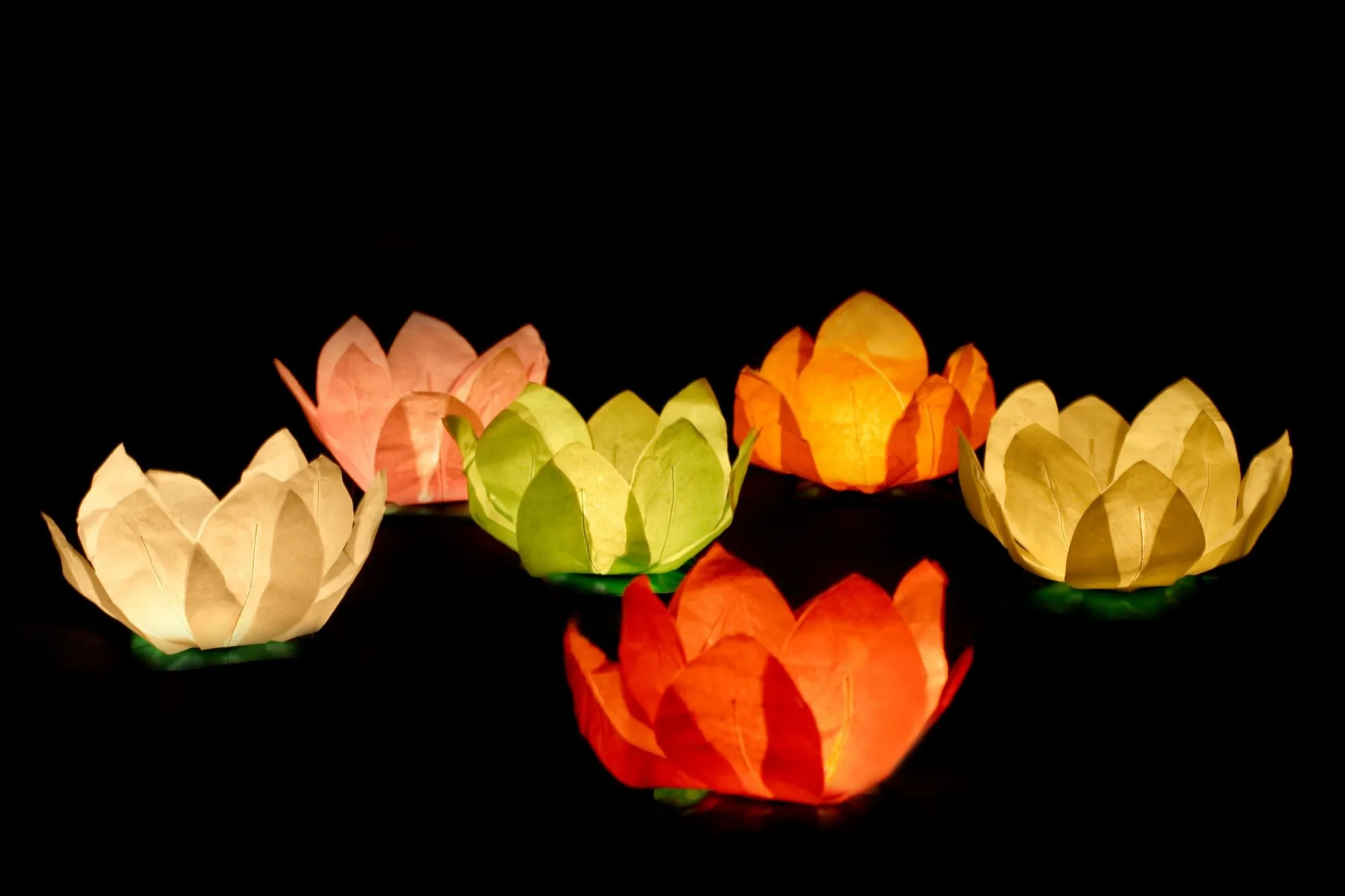 Floating Lotus Flower Water Lanterns