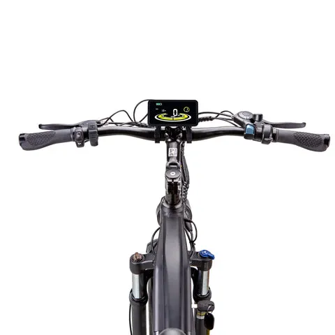 Nakto F6 1000W 48V/26Ah Fat Tire Mountain Electric Bike