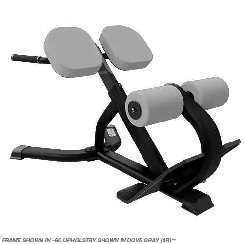 NAUTILUS INSTINCT 45 DEGREE BACK EXTENSION BENCH