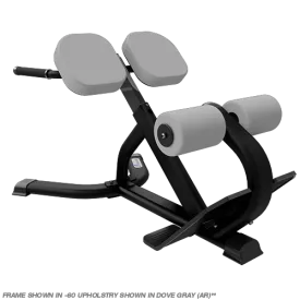 NAUTILUS INSTINCT 45 DEGREE BACK EXTENSION BENCH