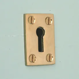 Polished Brass Oblong Escutcheon