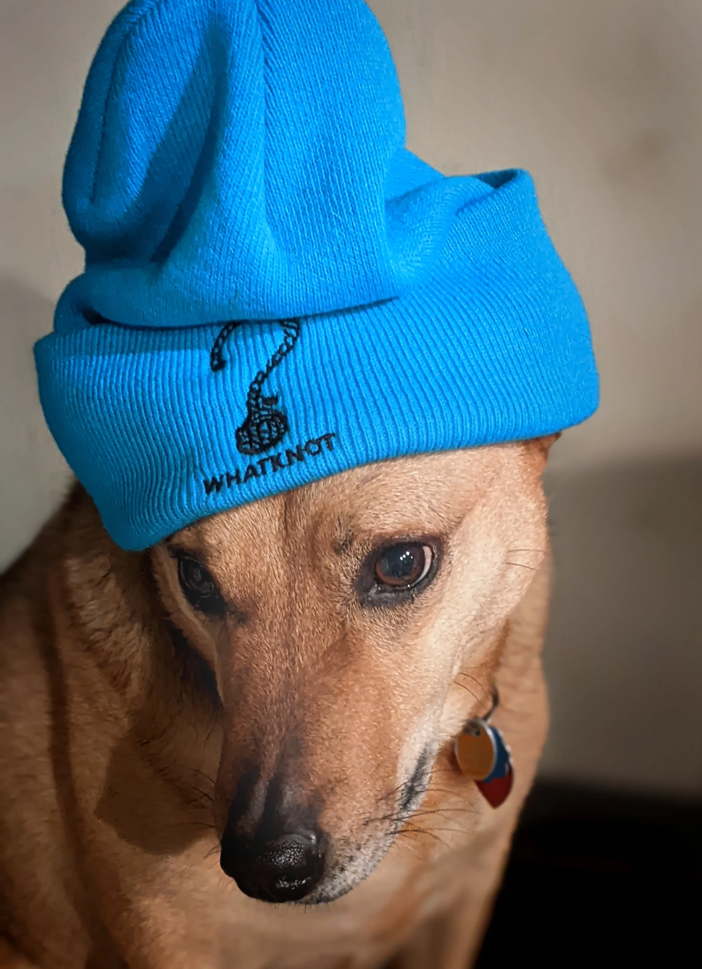 Whatknot Beanie